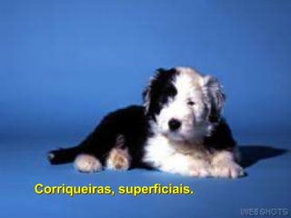 Corriqueiras, superficiais.
 