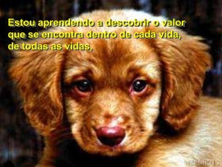 Estou aprendendo a descobrir o valor
que se encontra dentro de cada vida,
de todas as vidas,
 
