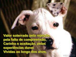 Valor soterrado pela rejeição,
pela falta de compreensão,
Carinho e aceitação, pelas
experiências duras
Vividas ao longo dos anos,
 