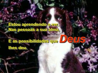 Estou aprendendo a ver,
Nas pessoas a sua alma,

E as possibilidades que   Deus
lhes deu.
 