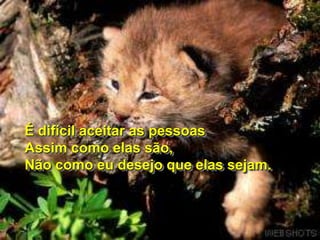 É difícil aceitar as pessoas
Assim como elas são,
Não como eu desejo que elas sejam.
 