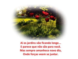 Aí os jardins vão ficando longe... E parece que não são para você. Mas sempre amanhece novo dia, Onde forças veem se juntar. 
