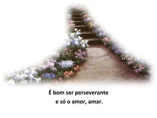 É bom ser perseverante e só o amor, amar. 