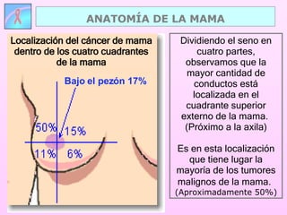 Dividiendo el seno en cuatro partes, observamos que la mayor cantidad de conductos está localizada en el cuadrante superior externo de la mama.  (Próximo a la axila) Es en esta localización que tiene lugar la mayoría de los tumores malignos de la mama.   (Aproximadamente 50%) ANATOMÍA DE LA MAMA Localización del cáncer de mama dentro de los cuatro cuadrantes de la mama Bajo el pezón 17% 