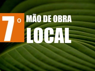 7MÃO DE OBRA LOCALº