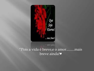 “Pois a vida é breve,e o amor.........mais breve ainda!♥