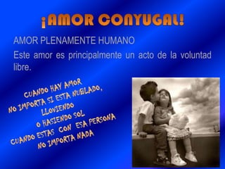 AMOR PLENAMENTE HUMANO
Este amor es principalmente un acto de la voluntad
libre.
 