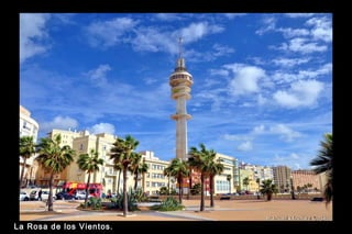 La Rosa de los V ientos.

 