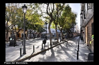 P laza del M entidero.

 