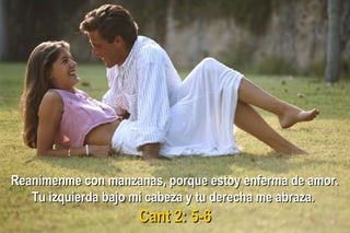 Reanímenme con manzanas, porque estoy enferma de amor.Reanímenme con manzanas, porque estoy enferma de amor.
Tu izquierda bajo mi cabeza y tu derecha me abraza.Tu izquierda bajo mi cabeza y tu derecha me abraza.
Cant 2: 5-6Cant 2: 5-6
 