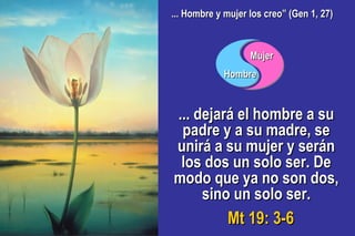 ... dejará el hombre a su... dejará el hombre a su
padre y a su madre, sepadre y a su madre, se
unirá a su mujer y seránunirá a su mujer y serán
los dos un solo ser. Delos dos un solo ser. De
modo que ya no son dos,modo que ya no son dos,
sino un solo ser.sino un solo ser.
MujerMujer
HombreHombre
... Hombre y mujer los creo” (Gen 1, 27)... Hombre y mujer los creo” (Gen 1, 27)
Mt 19: 3-6Mt 19: 3-6
 