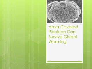 Amor Covered
Plankton Can
Survive Global
Warming
 