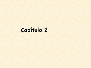 Capítulo 2
 