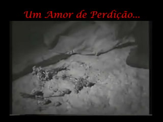Um Amor de Perdição... 