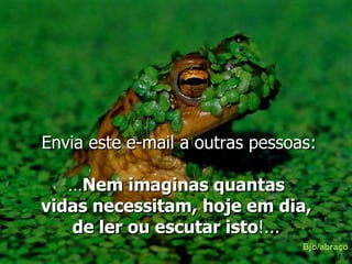 Envia este e-mail a outras pessoas:

   …Nem imaginas quantas
vidas necessitam, hoje em dia,
   de ler ou escutar isto!...
                                 Bjo/abraço
                                         JV
 