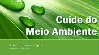 A Mordomia Ecológica
Gênesis 1:1, 11, 12, 20, 21, 24-31
 