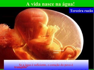 A vida nasce na água!
Terceira razão
“... Se a água é pura, o coração do povo é forte.
Se a água é suficiente, o coração do povo é
tranqüilo”
 