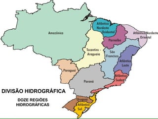 DOZE REGIÕES
HIDROGRÁFICAS
DIVISÃO HIDROGRÁFICA
 