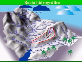 Bacia hidrográfica
 