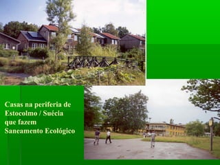 Casas na periferia de
Estocolmo / Suécia
que fazem
Saneamento Ecológico
 