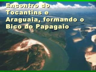 Encontro doEncontro do
Tocantins eTocantins e
Araguaia, formando oAraguaia, formando o
Bico do PapagaioBico do Papagaio
 