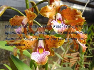 porque  onde muitos vêem o mal vejo apenas  ignorância, fico pensando como me comportarei  diante de Deus, o pastor que põe o amor em  movimento. 