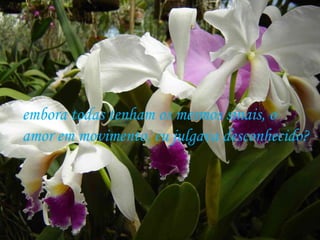 embora todas tenham os mesmos sinais, o  amor em movimento, eu julgava desconhecido? 