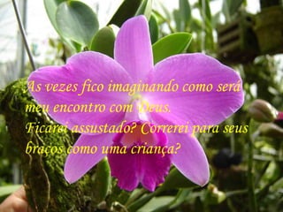 As vezes fico imaginando como será  meu encontro com Deus.  Ficarei assustado? Correrei para seus  braços como uma criança? 