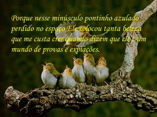   Porque nesse minúsculo pontinho azulado  perdido no espaço Ele colocou tanta beleza  que me custa crer quando dizem que ele é um  mundo de provas e expiações. 