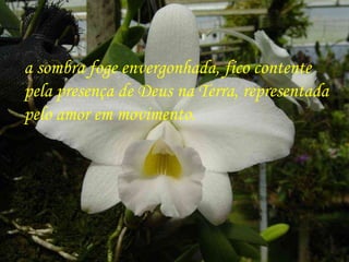 a sombra foge envergonhada, fico contente  pela presença de Deus na Terra, representada  pelo amor em movimento. 