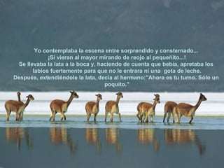 Yo contemplaba la escena entre sorprendido y consternado...  ¡Si vieran al mayor mirando de reojo al pequeñito...! Se llevaba la lata a la boca y, haciendo de cuenta que bebía, apretaba los  labios fuertemente para que no le entrara ni una  gota de leche. Después, extendiéndole la lata, decía al hermano:"Ahora es tu turno. Sólo un  poquito." 