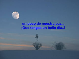 un poco de nuestra paz... ¡Que tengas un bello día..! 