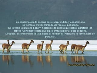Yo contemplaba la escena entre sorprendido y consternado. ¡Si vieran al mayor mirando de reojo al pequeñito! Se llevaba la lata a la boca y, haciendo de cuenta que bebía, apretaba los  labios fuertemente para que no le entrara ni una  gota de leche. Después, extendiéndole la lata, decía al hermano: "Ahora es tu turno. Sólo un  poquito“. www. laboutiquedelpowerpoint. com 