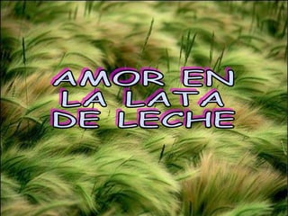 AMOR EN  LA LATA  DE LECHE 