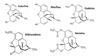 Morfina Codeína
Hidrocodona Heroína
 