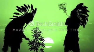 amor e outras drogas.pptx