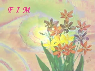 F I M 
