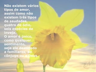 Não existem vários 
tipos de amor, 
assim como não 
existem três tipos 
de saudades, 
quatro de ódio, 
seis espécies de 
inveja. 
O amor é único, 
como qualquer 
sentimento, 
seja ele destinado 
a familiares, ao 
cônjuge ou a Deus. 
 