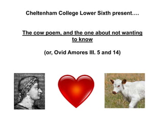 Cheltenham College Lower Sixth present….


The cow poem, and the one about not wanting
                 to know

       (or, Ovid Amores III. 5 and 14)
 