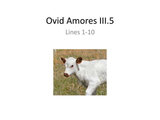 Ovid Amores III.5
    Lines 1-10
 