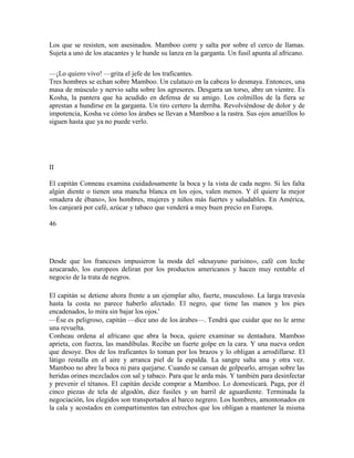 Los que se resisten, son asesinados. Mamboo corre y salta por sobre el cerco de llamas.
Sujeta a uno de los atacantes y le hunde su lanza en la garganta. Un fusil apunta al africano.
—¡Lo quiero vivo! —grita el jefe de los traficantes.
Tres hombres se echan sobre Mamboo. Un culatazo en la cabeza lo desmaya. Entonces, una
masa de músculo y nervio salta sobre los agresores. Desgarra un torso, abre un vientre. Es
Kosha, la pantera que ha acudido en defensa de su amigo. Los colmillos de la fiera se
aprestan a hundirse en la garganta. Un tiro certero la derriba. Revolviéndose de dolor y de
impotencia, Kosha ve cómo los árabes se llevan a Mamboo a la rastra. Sus ojos amarillos lo
siguen hasta que ya no puede verlo.
II
El capitán Conneau examina cuidadosamente la boca y la vista de cada negro. Si les falta
algún diente o tienen una mancha blanca en los ojos, valen menos. Y él quiere la mejor
«madera de ébano», los hombres, mujeres y niños más fuertes y saludables. En América,
los canjeará por café, azúcar y tabaco que venderá a muy buen precio en Europa.
46
Desde que los franceses impusieron la moda del «desayuno parisino», café con leche
azucarado, los europeos deliran por los productos americanos y hacen muy rentable el
negocio de la trata de negros.
El capitán se detiene ahora frente a un ejemplar alto, fuerte, musculoso. La larga travesía
hasta la costa no parece haberlo afectado. El negro, que tiene las manos y los pies
encadenados, lo mira sin bajar los ojos.'
—Ése es peligroso, capitán —dice uno de los árabes—. Tendrá que cuidar que no le arme
una revuelta.
Conheau ordena al africano que abra la boca, quiere examinar su dentadura. Mamboo
aprieta, con fuerza, las mandíbulas. Recibe un fuerte golpe en la cara. Y una nueva orden
que desoye. Dos de los traficantes lo toman por los brazos y lo obligan a arrodillarse. El
látigo restalla en el aire y arranca piel de la espalda. La sangre salta una y otra vez.
Mamboo no abre la boca ni para quejarse. Cuando se cansan de golpearlo, arrojan sobre las
heridas orines mezclados con sal y tabaco. Para que le arda más. Y también para desinfectar
y prevenir el tétanos. El capitán decide comprar a Mamboo. Lo domesticará. Paga, por él
cinco piezas de tela de algodón, diez fusiles y un barril de aguardiente. Terminada la
negociación, los elegidos son transportados al barco negrero. Los hombres, amontonados en
la cala y acostados en compartimentos tan estrechos que los obligan a mantener la misma
 