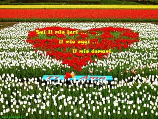 Sei il mio ieri …
il mio oggi …
il mio domani.
 