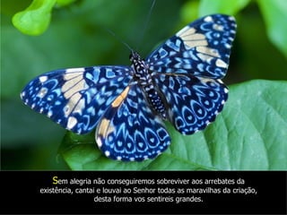 Sem alegria não conseguiremos sobreviver aos arrebates da
existência, cantai e louvai ao Senhor todas as maravilhas da criação,
                  desta forma vos sentireis grandes.
 