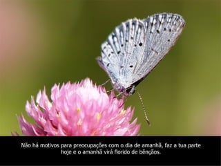 Não há motivos para preocupações com o dia de amanhã, faz a tua parte
               hoje e o amanhã virá florido de bênçãos.
 