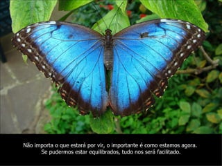 Não importa o que estará por vir, o importante é como estamos agora.
      Se pudermos estar equilibrados, tudo nos será facilitado.
 