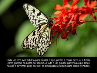 Cada um tem livre arbítrio para pensar e agir, porém a moral deve vir a frente
 como guardiã do nosso ser eterno. A vida é um grande patrimônio que Deus
nos dá e devemos zelar por ela; as dificuldades existem para serem vencidas.
 