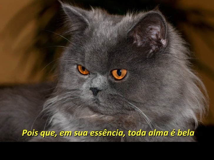 Resultado de imagem para amor a alma essÃªncia