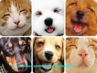 É  “  É um nunca contentar-se de contente ” 