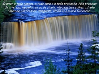 O amor a tudo espera, a tudo cura e a tudo preenche. Não precisas de tristeza, de palavras ou de sinais; não precisas colher a fruta antes de ela crescer, tampouco, limitá-la a nunca florescer.  
