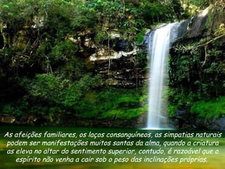 As afeições familiares, os laços consanguíneos, as simpatias naturais podem ser manifestações muitos santas da alma, quando a criatura as eleva no altar do sentimento superior, contudo, é razoável que o espírito não venha a cair sob o peso das inclinações próprias.  